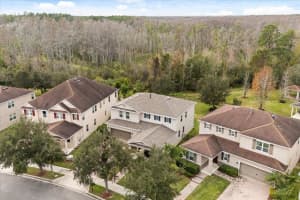 6638 BRIDGEWATER VILLAGE ROAD, WINDERMERE, FL 34786 - MLS#MFRO6374429