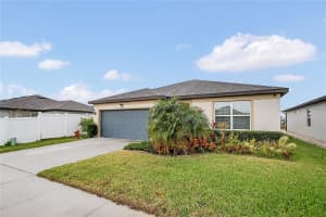 906 SWAYING SAWGRASS AVENUE, RUSKIN, FL 33570 - MLS#MFRO6374576