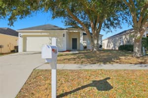 914 Stallion Way, VALRICO 914 Stallion Way, VALRICO