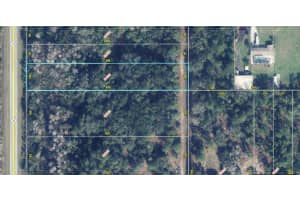 DALLAS BLVD, ORLANDO, FL 32833 - MLS#MFRO6374620