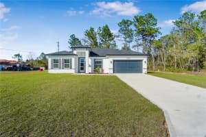 8102 MALTESE DRIVE, CITRUS SPRINGS, FL 34433 - MLS#MFRO6374629