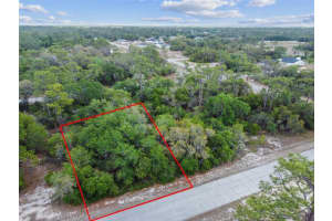 1305 HOMOSASSA COURT, KISSIMMEE, FL 34759 - MLS#MFRO6374670