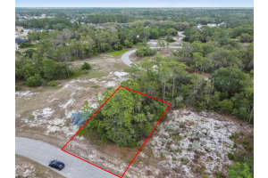 1315 HOMOSASSA COURT, KISSIMMEE, FL 34759 - MLS#MFRO6374672