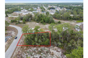 1315 HOMOSASSA COURT, KISSIMMEE, FL 34759 - MLS#MFRO6374672