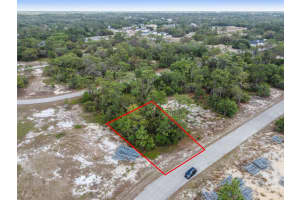 1315 HOMOSASSA COURT, KISSIMMEE, FL 34759 - MLS#MFRO6374672