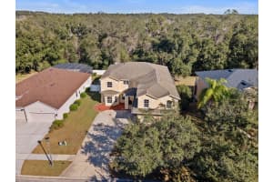 5042 RISHLEY RUN WAY, MOUNT DORA, FL 32757 - MLS#MFRO6374728