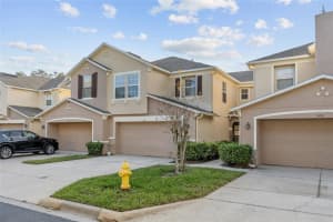314 Winter Nellis Cir, WINTER GARDEN