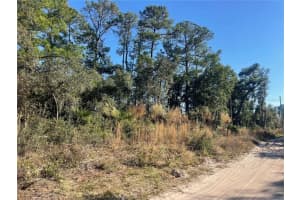 ROSE BUD DR, DELAND, FL 32720 - MLS#MFRO6374821