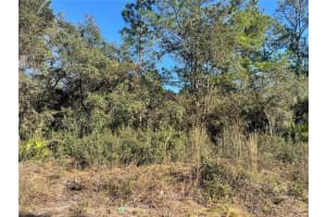 ROSE BUD DR, DELAND, FL 32720 - MLS#MFRO6374821
