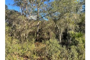 ROSE BUD DR, DELAND, FL 32720 - MLS#MFRO6374821