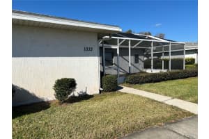 1033 WILLOW DRIVE, LEESBURG, FL 34748 - MLS#MFRO6374868