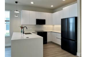 1445 SERENDIPITY LANE, CLERMONT, FL 34714 - MLS#MFRO6374968