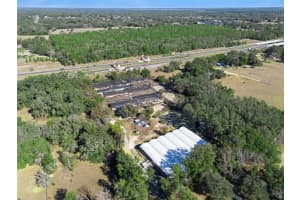 1909 HAAS ROAD, APOPKA, FL 32712 - MLS#MFRO6375018