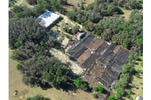 1909 HAAS ROAD, APOPKA, FL 32712 - MLS#MFRO6375018