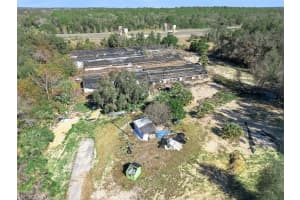 1909 HAAS ROAD, APOPKA, FL 32712 - MLS#MFRO6375018