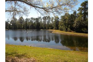 1821 CORNER MEADOW CIRCLE, ORLANDO, FL 32820 - MLS#MFRO6375087