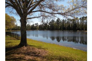 1821 CORNER MEADOW CIRCLE, ORLANDO, FL 32820 - MLS#MFRO6375087