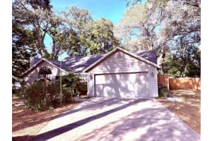 3909 LAKE FOREST STREET, MOUNT DORA, FL 32757 - MLS#MFRO6375149