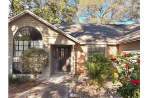 3909 LAKE FOREST STREET, MOUNT DORA, FL 32757 - MLS#MFRO6375149