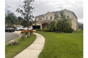 10503 Palm Cove Ave, TAMPA 10503 Palm Cove Ave, TAMPA