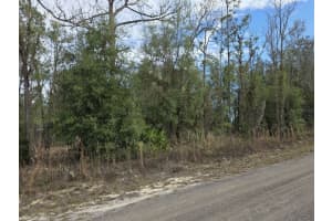 141ST CT, OCALA, FL 34481 - MLS#MFRO6375187