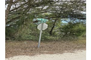 141ST CT, OCALA, FL 34481 - MLS#MFRO6375187