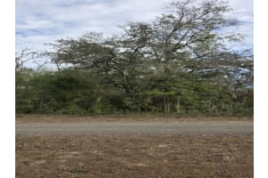 141ST, OCALA, FL 34481 - MLS#MFRO6375191