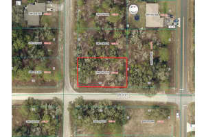 141ST, OCALA, FL 34481 - MLS#MFRO6375191