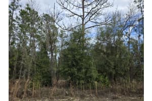 141ST, OCALA, FL 34481 - MLS#MFRO6375191