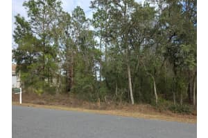 140TH, OCALA, FL 34481 - MLS#MFRO6375196