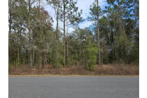 159TH CT, OCALA, FL 34481 - MLS#MFRO6375199