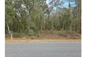 159TH CT, OCALA, FL 34481 - MLS#MFRO6375199