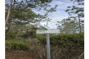 159TH CT, OCALA, FL 34481 - MLS#MFRO6375199