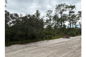 5932, CANOPY RD, SEBRING, FL 33875 - MLS#MFRO6375225