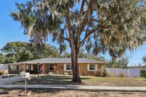 1111 N Palmetto Cir, EUSTIS