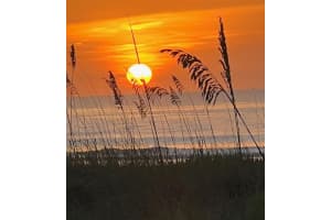 8496 RIDGEWOOD AVENUE, CAPE CANAVERAL, FL 32920 - MLS#MFRO6375268