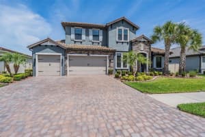 29043 PICANA LANE, WESLEY CHAPEL, FL 33543 - MLS#MFRO6375316
