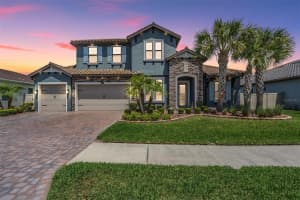 29043 PICANA LANE, WESLEY CHAPEL, FL 33543 - MLS#MFRO6375316