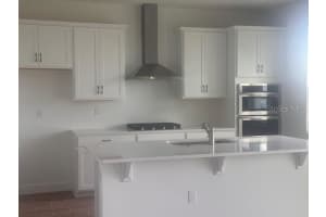 4411 LAUREL SITE LOOP, APOPKA, FL 32712 - MLS#MFRO6375323