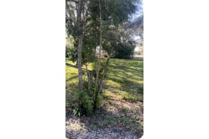 337 WATERVIEW DRIVE, POLK CITY, FL 33868 - MLS#MFRO6375324