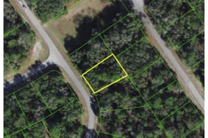 SW 79TH AVE RD, OCALA, FL 34473 - MLS#MFRO6375470