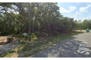 SW 79TH AVE RD, OCALA, FL 34473 - MLS#MFRO6375470