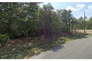 SW 79TH AVE RD, OCALA, FL 34473 - MLS#MFRO6375470