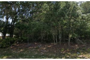 SW 79TH AVE RD, OCALA, FL 34473 - MLS#MFRO6375470