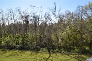 316 SOUTHERN PECAN CIRCLE, WINTER GARDEN, FL 34787 - MLS#MFRO6375513