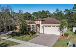 10706 Willow Ridge Loop, ORLANDO