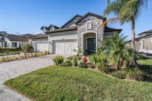 4607 Barletta Ct, WESLEY CHAPEL