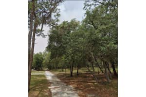 1163 CANVAS LANE, HERNANDO, FL 34442 - MLS#MFRO6375675