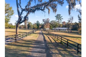 7997 90TH AVENUE, OCALA, FL 34482 - MLS#MFRO6375750