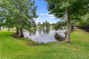 39 WINDTREE LANE, WINTER GARDEN, FL 34787 - MLS#MFRO6375753